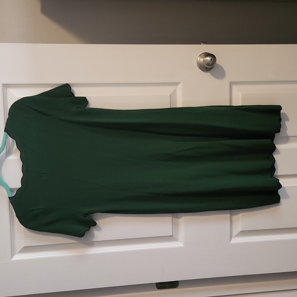 Ann Taylor Petite Green PS - Picture 5 of 8